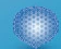 Snow Lambe Smooth Breast Implants 125cc Reliable Memory Gel Super High Profile 2